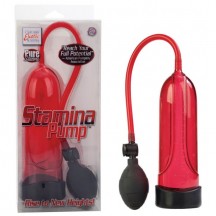 Красная помпа для мужских тренировок Stamina