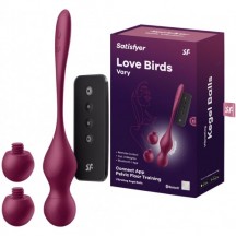 Вагинальные смарт-шарики с вибрацией и сменными утяжелителями Satisfyer Love Birds Vary бордовый
