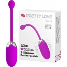 Классическое перезаряжаемое виброяйцо Pretty Love Brook